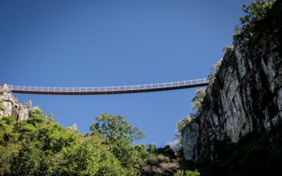 Bridging the Gap to Leadership – 3 Critical Skills